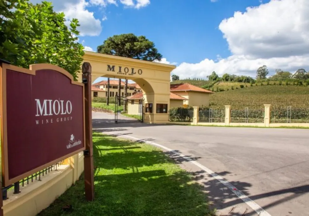 Vinícula Miolo