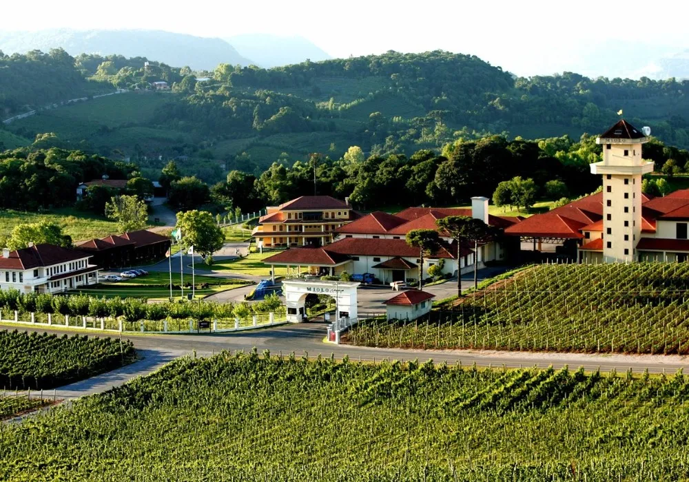 Vinícula Miolo