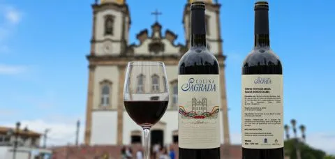 Bonfim lança vinhos para o Natal 