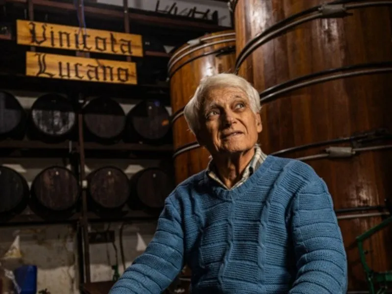 Vinícola escondida na capital paulista, fundada por italianos, tem degustação de vinhos e licores por R$40