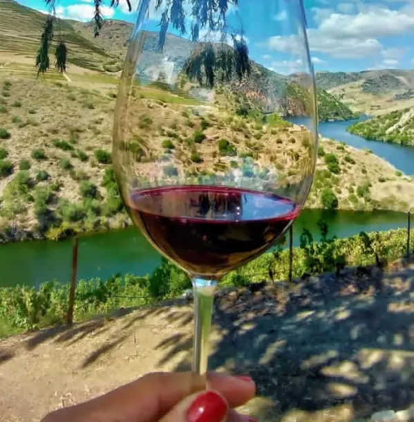 Vinho tinto no verão?