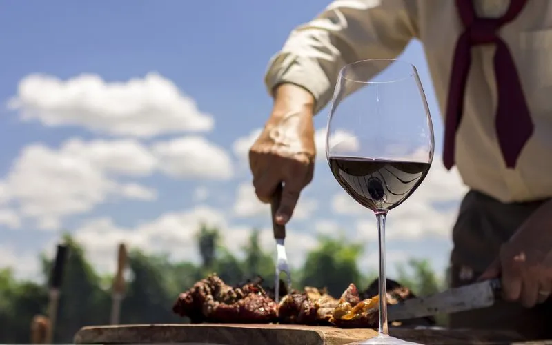 Valorizando o Brasil: o melhor vinho da Campanha Gaúcha
