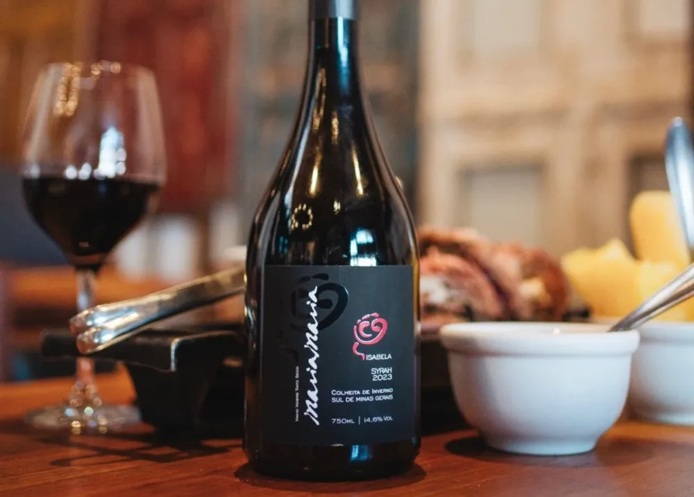 Novos vinhos brasileiros para ficar de olho em 2026; veja dicas