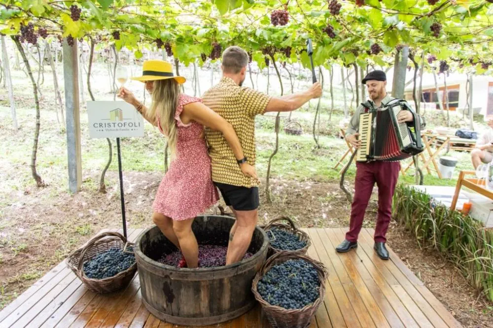 Amanhecer de Vindima – Pisa da Uva 2026 – Vinhos Cristofoli