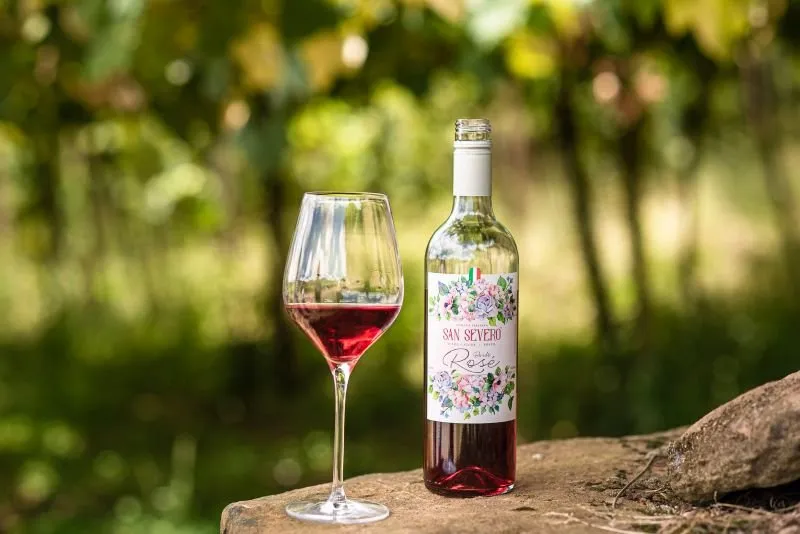 Vinhos bons e baratos: 10 opções que vão surpreender