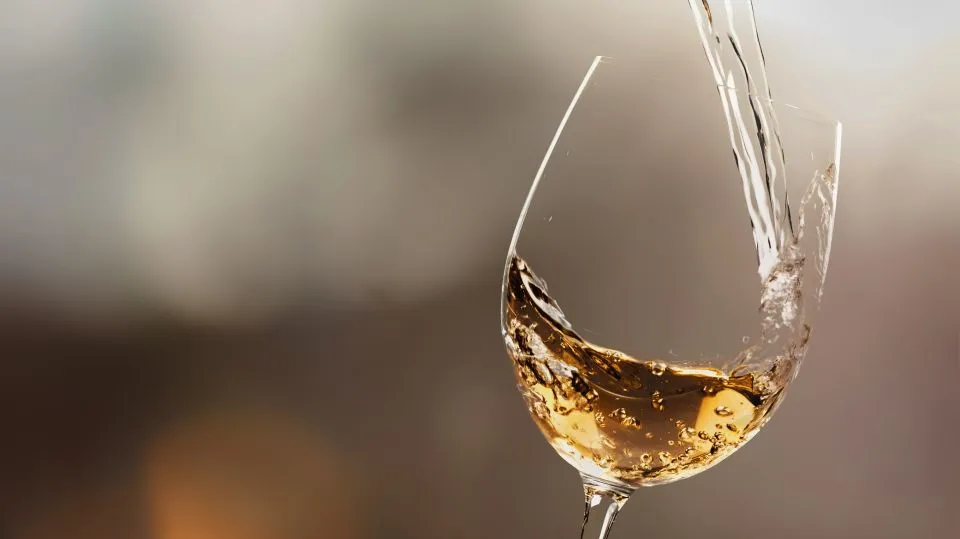 Vinho Branco: Guia Completo de Produção, Uvas, Como Servir e Harmonizar