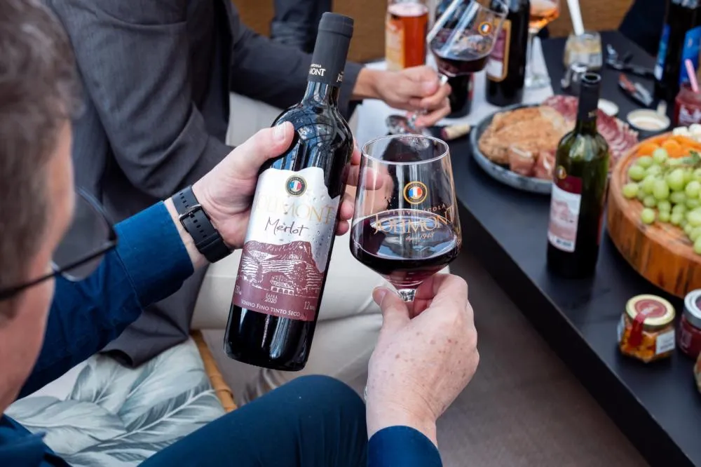 Safra do vinho: o que é, importância e como identificar! 