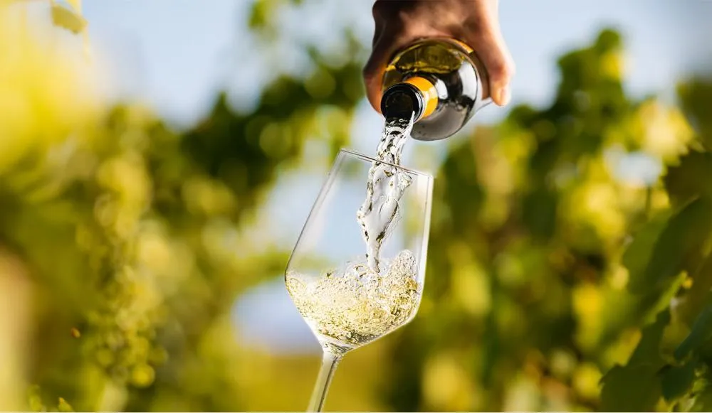 Dia da Riesling: conheça 3 vinhos alemães da vinícola OH