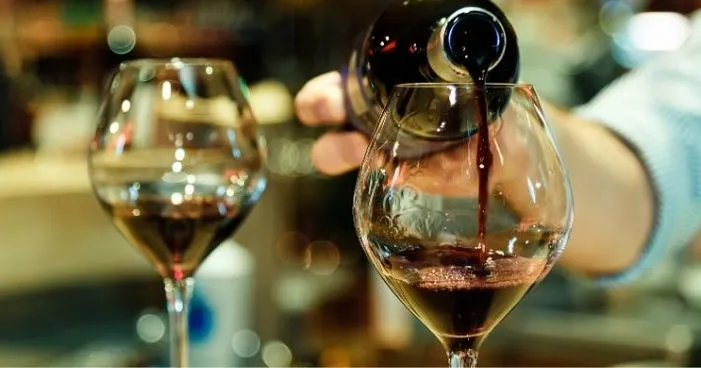 Saiba tudo sobre os vinhos chilenos