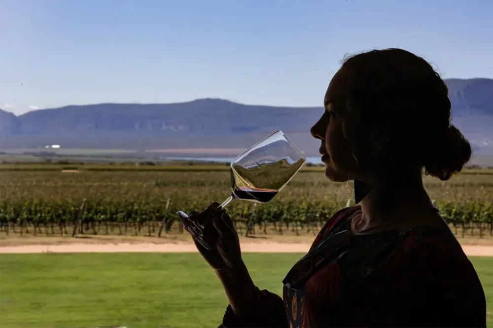 Segredos, fatos e curiosidades sobre vinhos