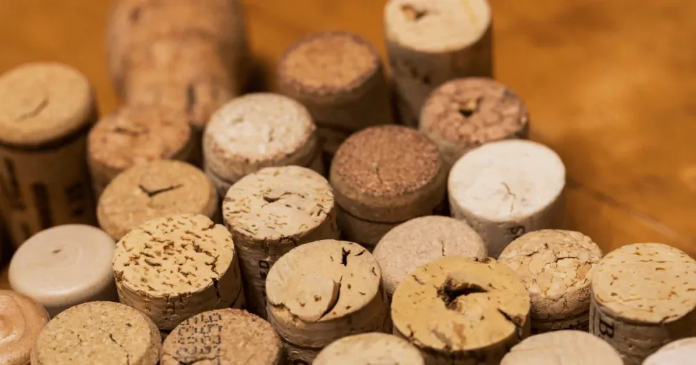 A história do vinho e sua cultura