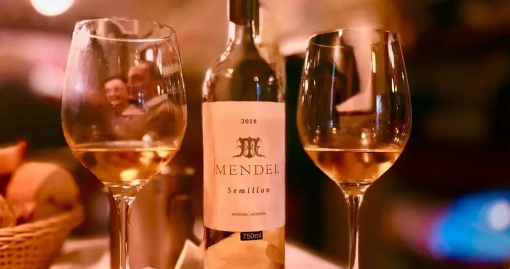 Altitude e frescor: a revolução dos vinhos brancos na Argentina
