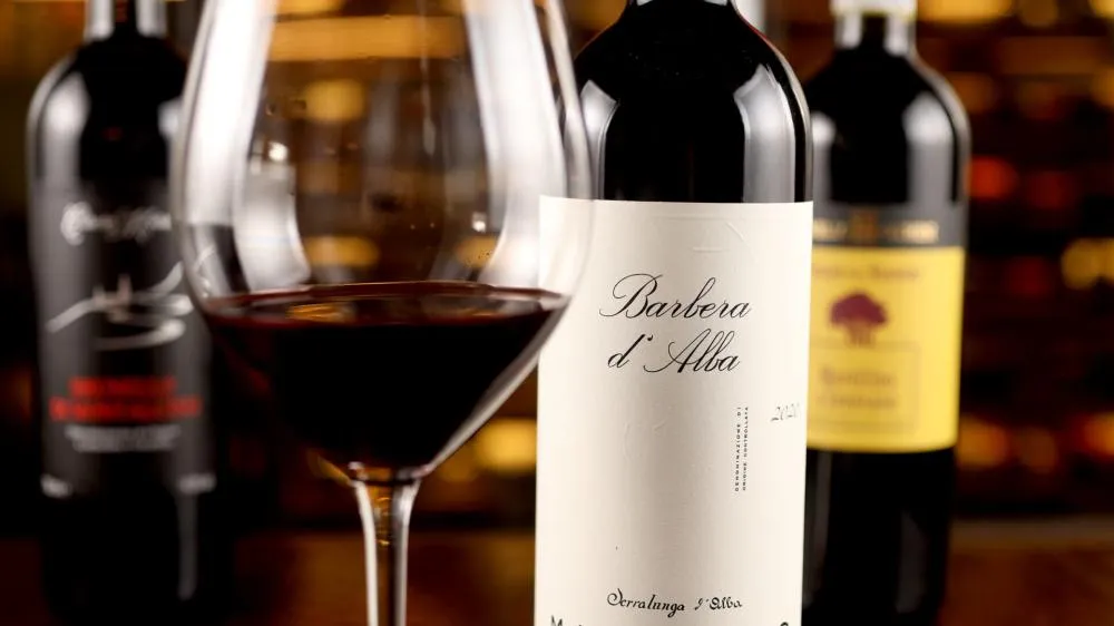 A Itália em uma carta de vinhos: uma viagem pela adega do Piccini Cucina