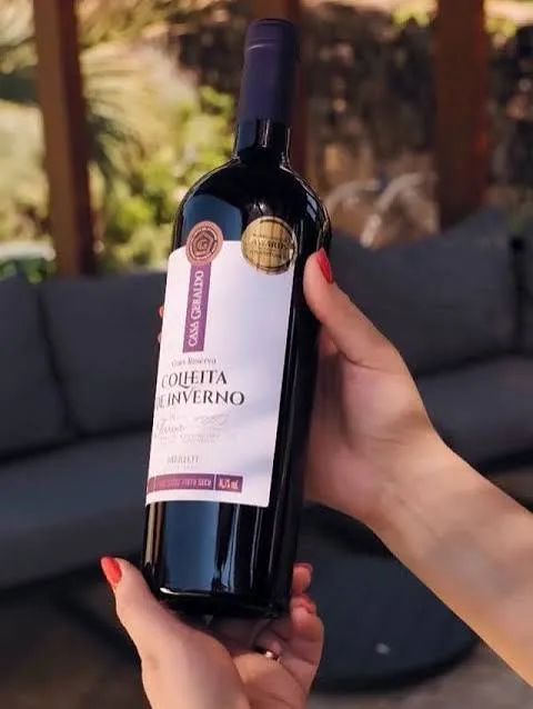 Vinhos brasileiros em ascensão
