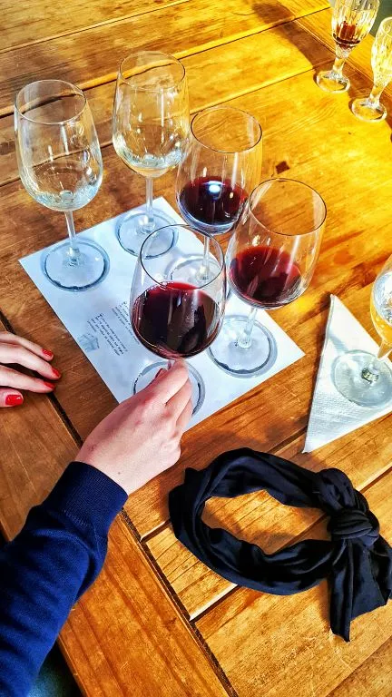O vinho em 2026: leveza, origem e experiência ganham força no mercado