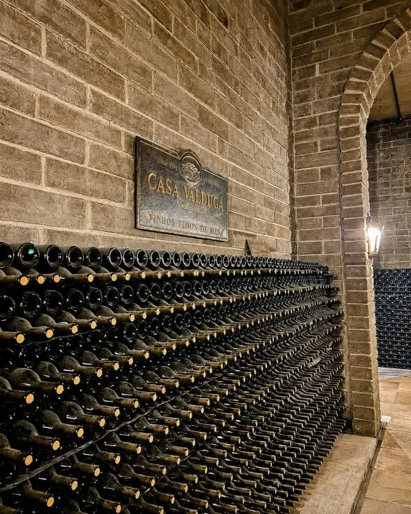 Entre o tempo e o fôlego: a arte de esperar por um bom vinho