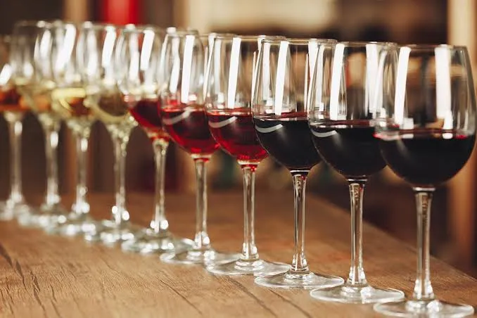 Vinhos finos e complexos: uma experiência que vai além do sabor
