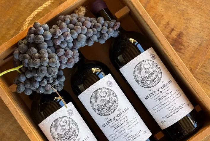 A aposta que pode mudar o vinho brasileiro: Nebbiolo encontra um novo território na Serra Gaúcha
