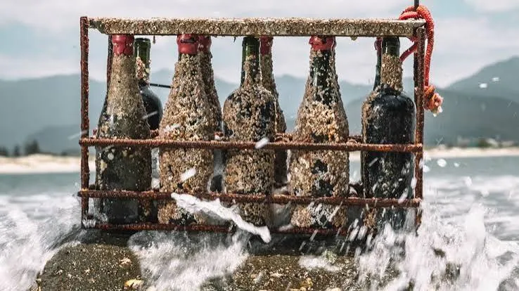 Adega Marinha envelhece garrafas de vinho no fundo do mar