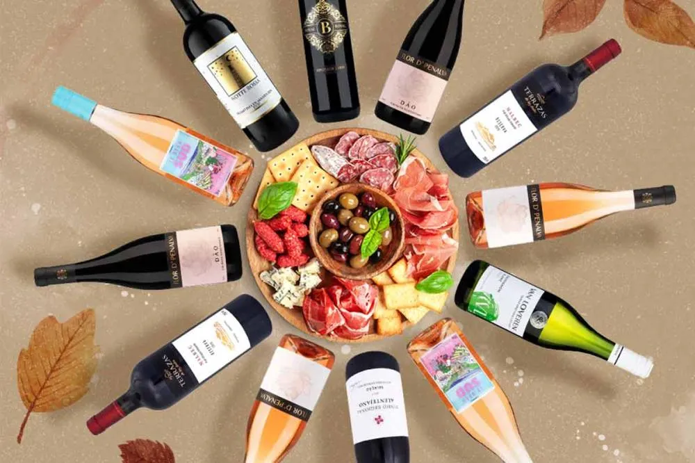 Vinhos de entrada: rótulos essenciais para começar a descobrir o mundo dos vinhos