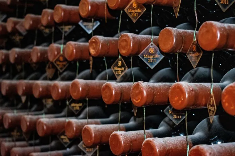 Maturação ou envelhecimento? O que o tempo realmente faz com o vinho