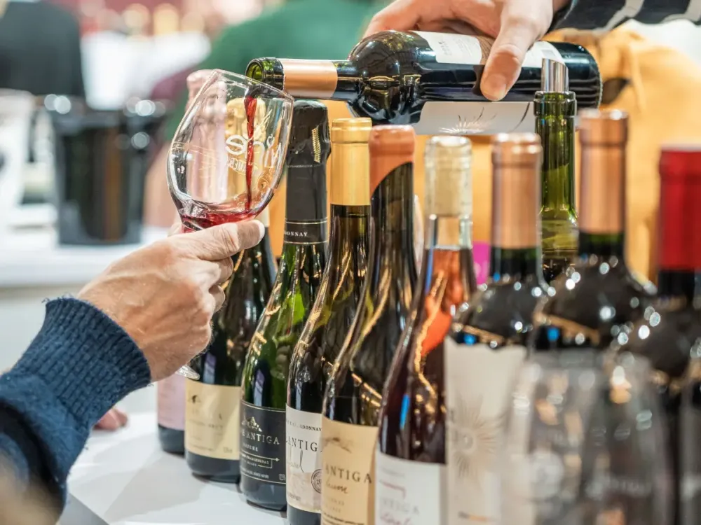 Economia do vinho: como a vitivinicultura movimenta o Brasil