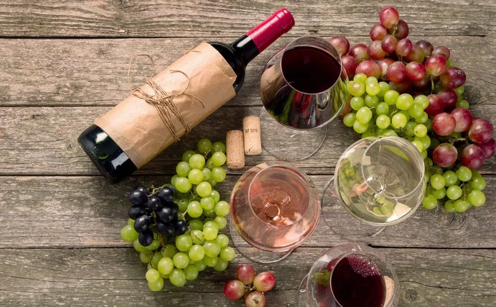 Merlot ou Chardonnay? Descubra as melhores uvas para começar a entender de vinhos