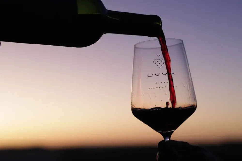 Vinho varietal: entenda como uma única uva revela a identidade da bebida