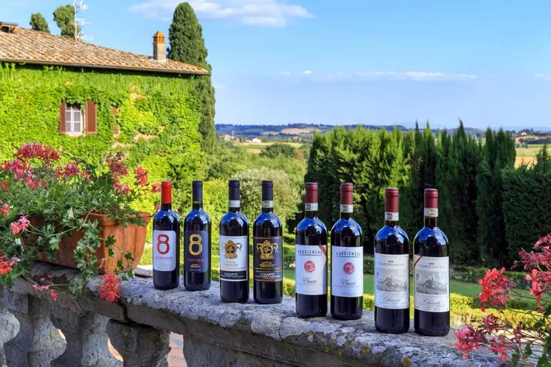 Vinhos sob medida da Toscana miram expandir mercado no Brasil
