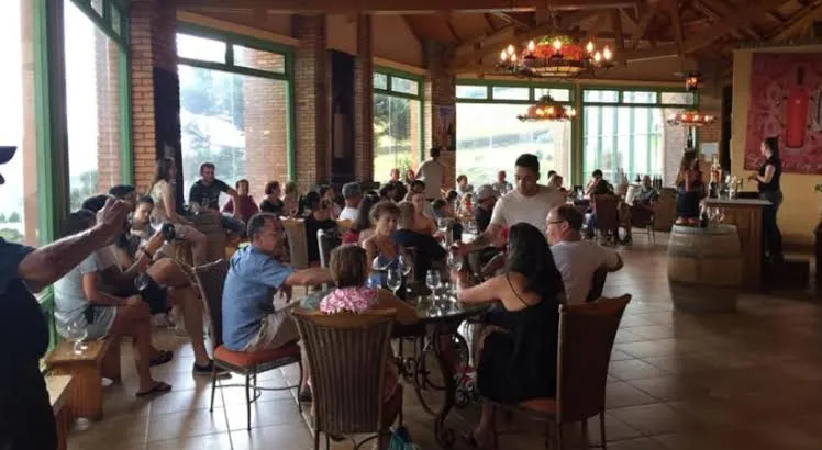 Santa Catarina amplia rota do vinho, mas custos freiam pequenos produtores