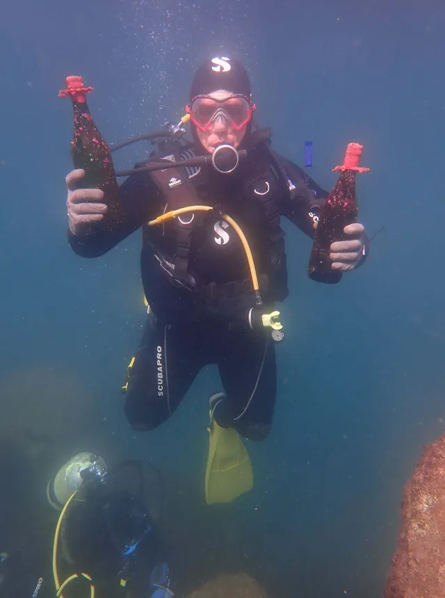 Adegas do mar transformam garrafas de vinho em abrigos para a vida marinha