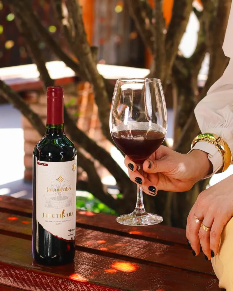JabutiKaba Suave: o vinho de jabuticaba que resgata uma tradição brasileira