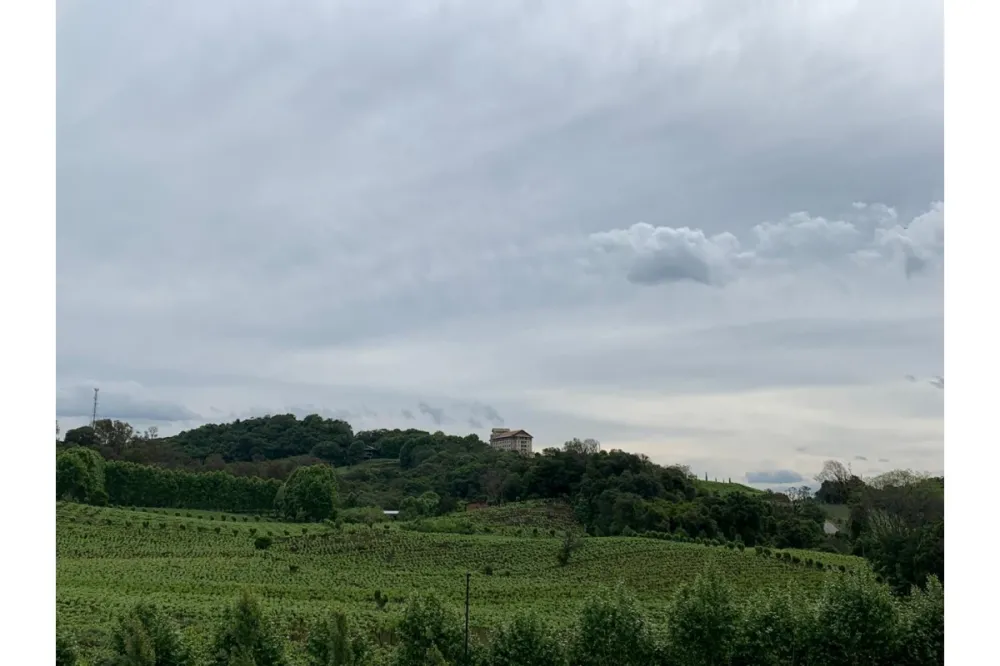Vinhos raros: além da qualidade, processos explicam valores