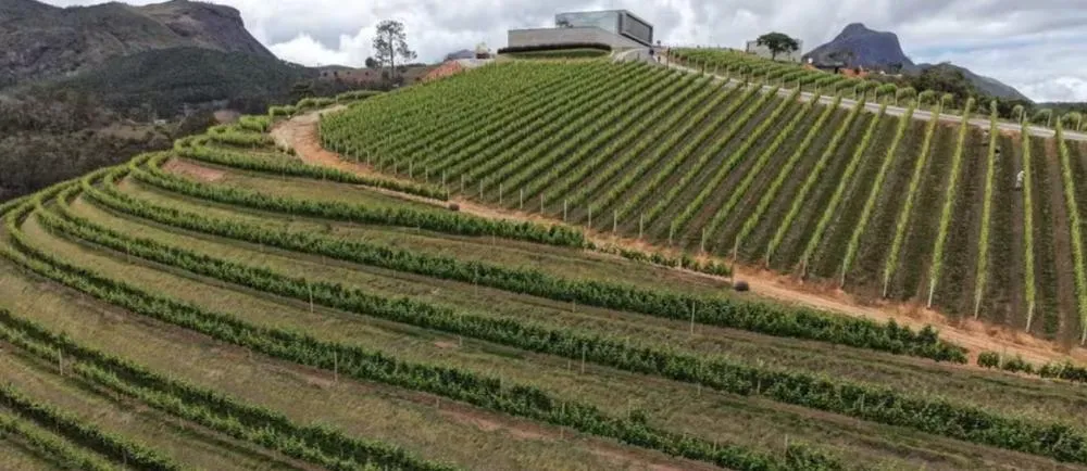 Serra acima: vinícolas fluminenses ganham reforço de peso com abertura da Maturano