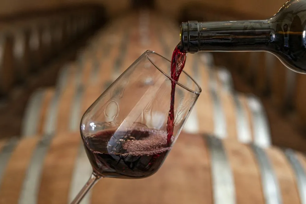 Além do Malbec: 6 vinhos argentinos que você precisa conhecer