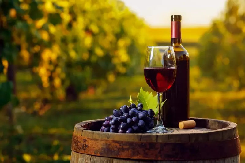 Melhores vinhos brasileiros: os rótulos nacionais premiados que você precisa conhecer