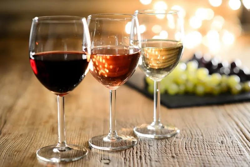Tipos de uvas para vinhos: conheça os 11 principais nomes de uvas
