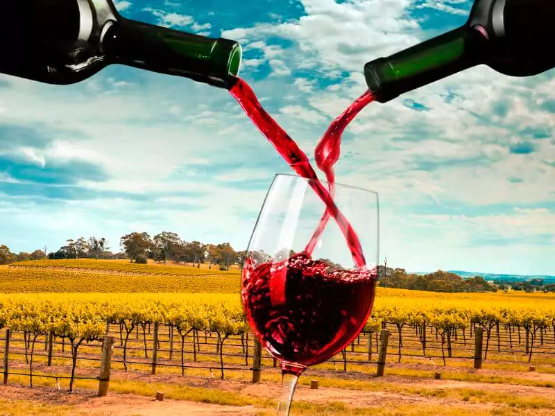 Vinhos que misturam uvas, safras, vinhedos e barris. Conheça os mais diversos tipos de blend
